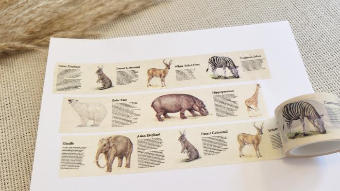 Design Washi Tape Encyclopaedia